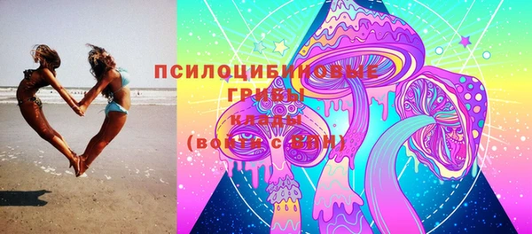 spice Кинешма