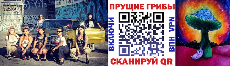 Купить где  Воскресенск  Галлюциногенные грибы мицелий 